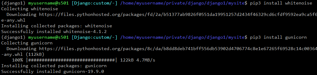 Install Gunicorn and Whitenoise install-gunicorn-and-whitenoise.png