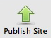 Publish Site