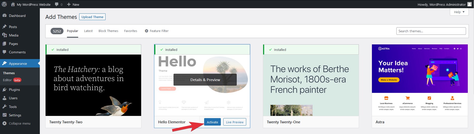 Activate WordPress theme