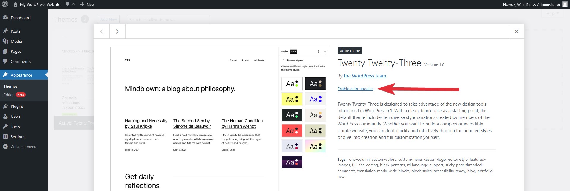 WordPress theme enable auto updates