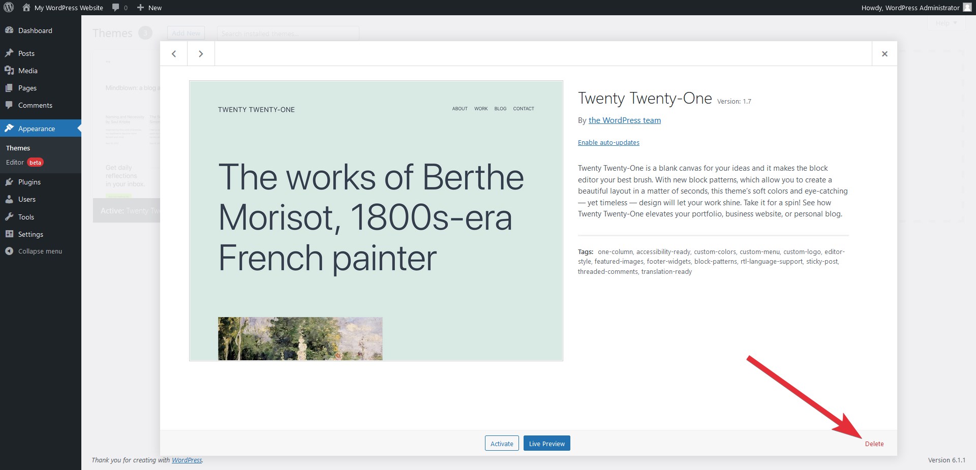 Delete WordPress theme