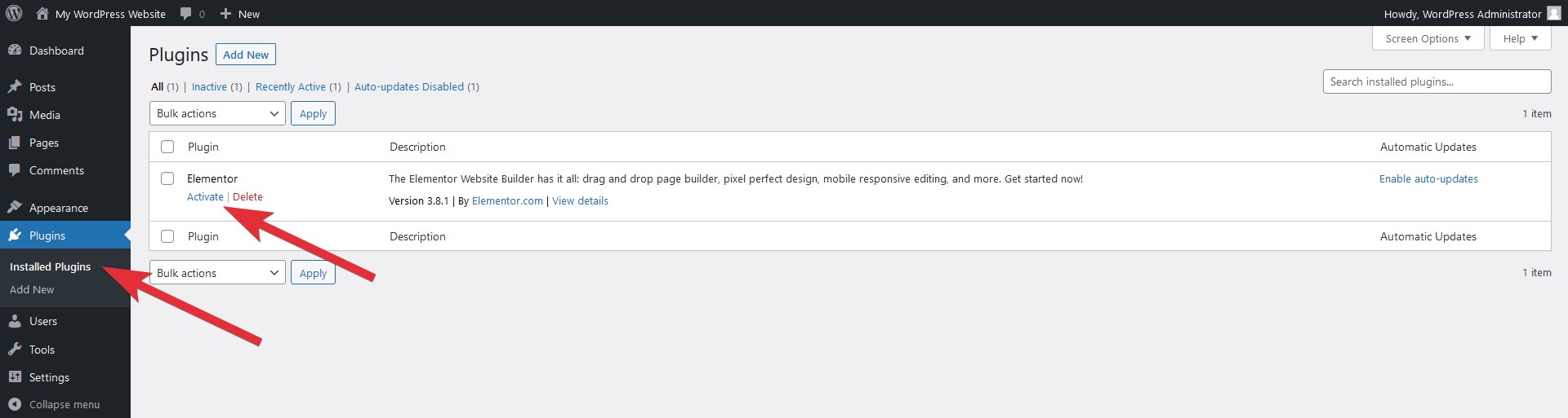 Activate WordPress plugin