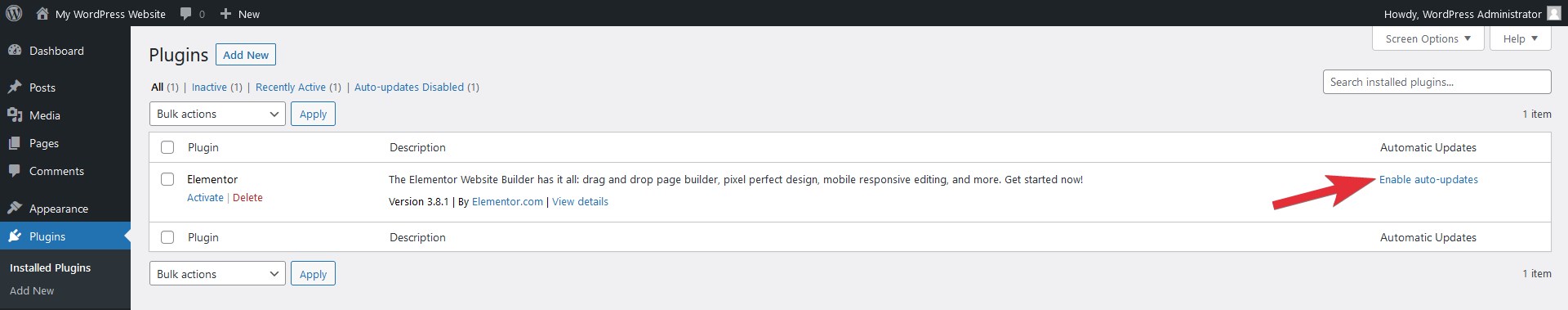 WordPress plugin enable auto updates