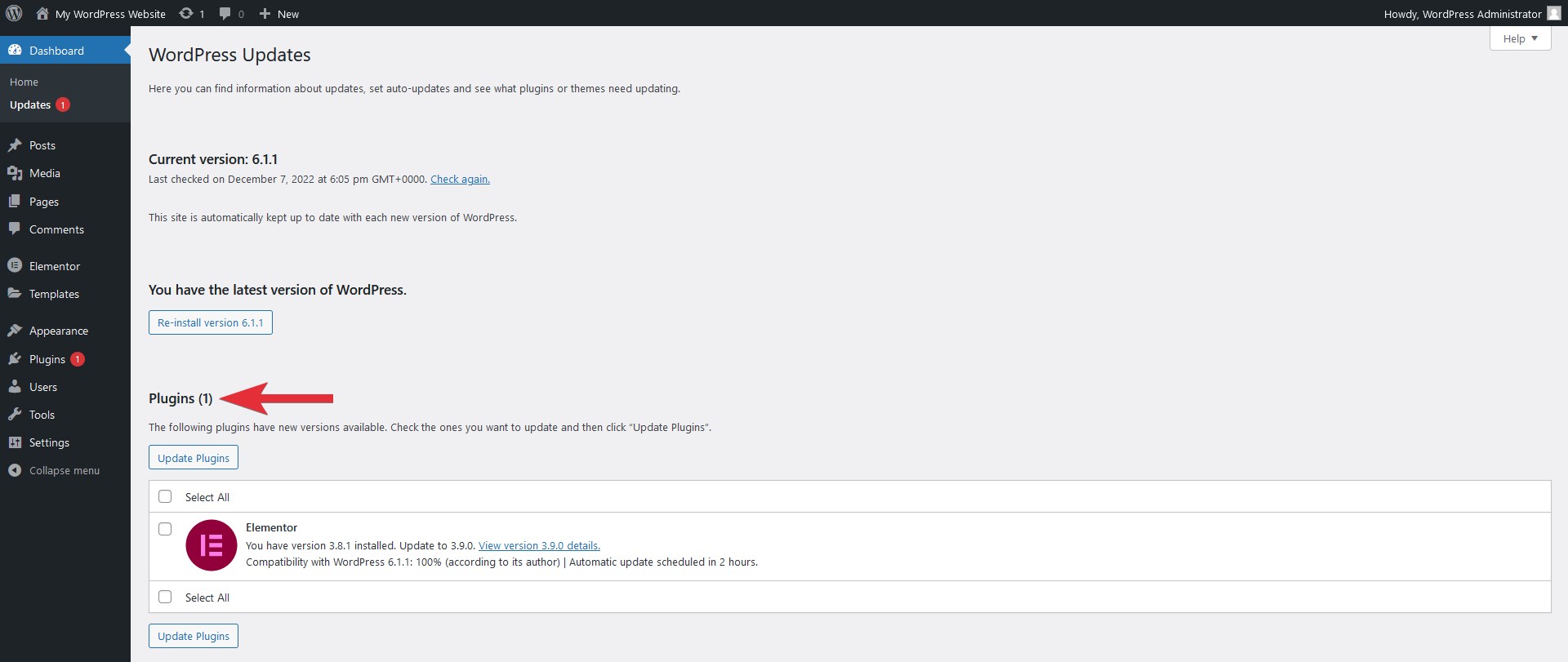 Update WordPress plugin