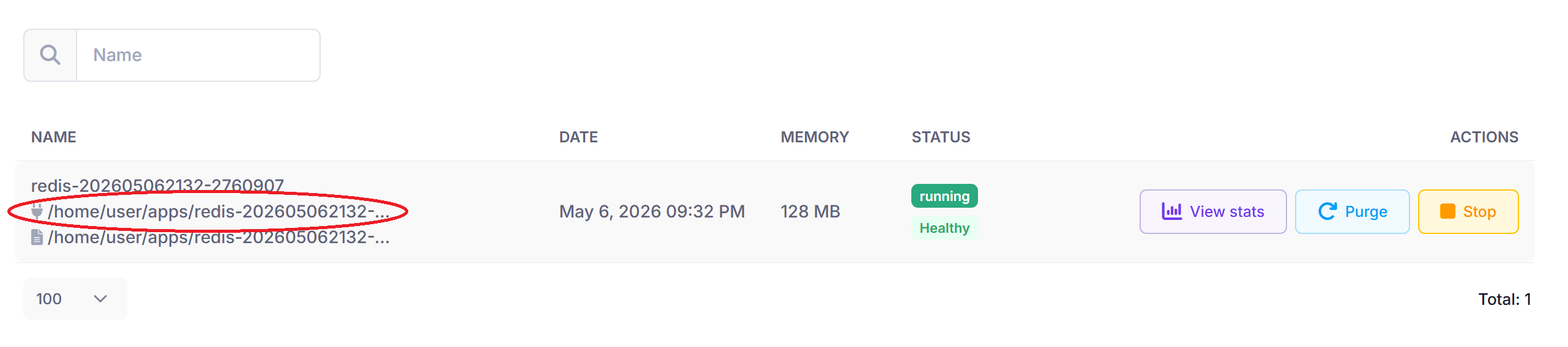 Redis Socket